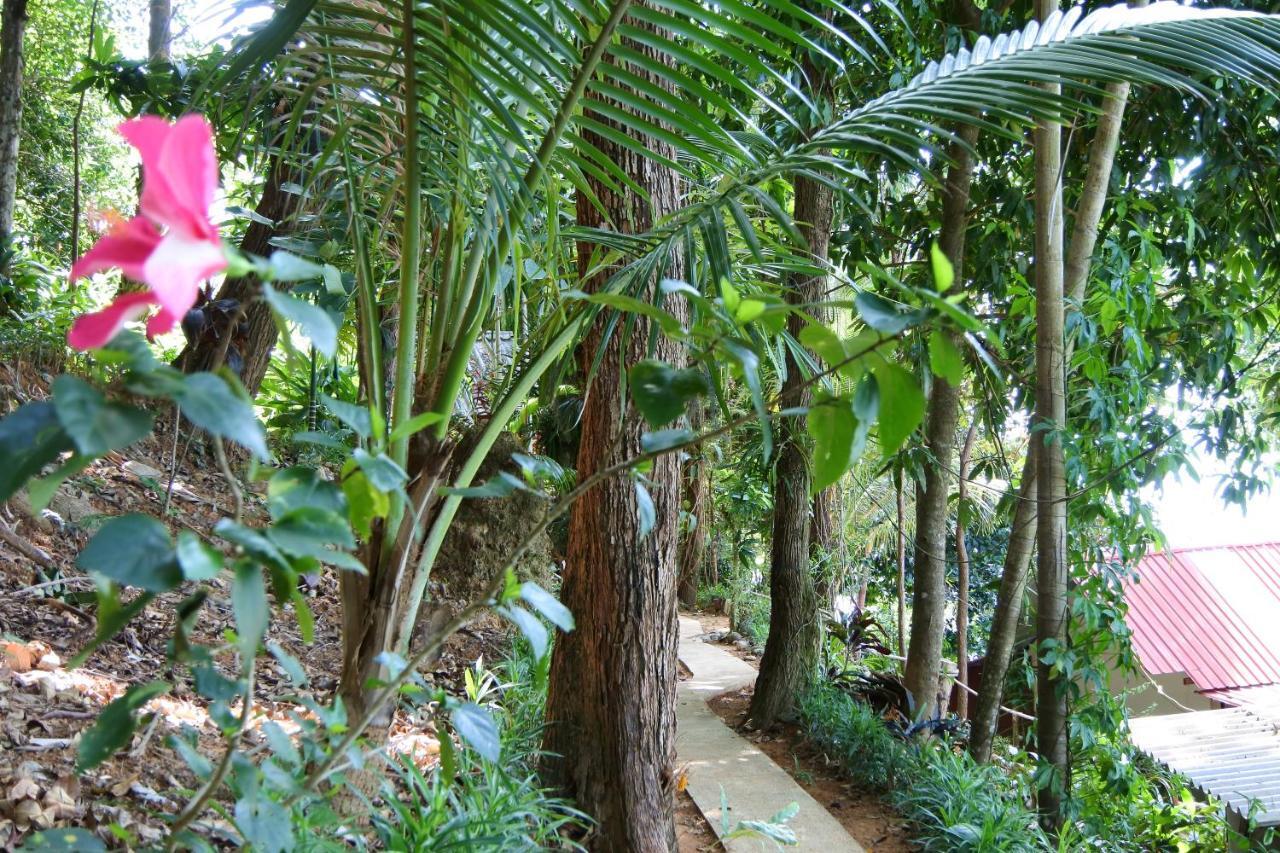 Nice View Bungalow Koh Chang Ranong Luaran gambar